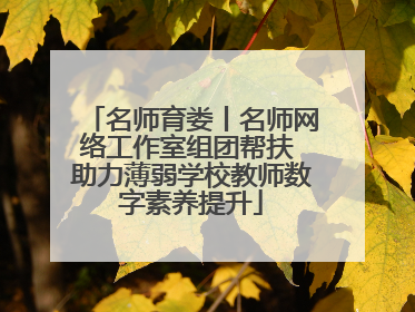 名师育娄丨名师网络工作室组团帮扶 助力薄弱学校教师数字素养提升
