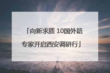 向新求质 10国外籍专家开启西安调研行