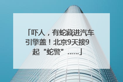 吓人，有蛇藏进汽车引擎盖！北京9天接9起“蛇警”……