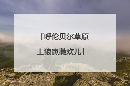呼伦贝尔草原上狼崽撒欢儿