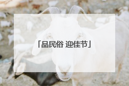 品民俗 迎佳节