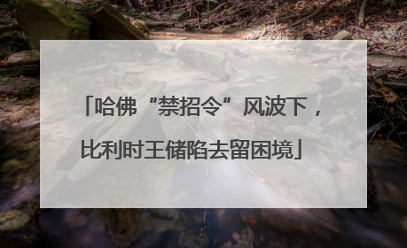 哈佛“禁招令”风波下，比利时王储陷去留困境