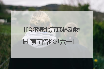 哈尔滨北方森林动物园 萌宝陪你过六一