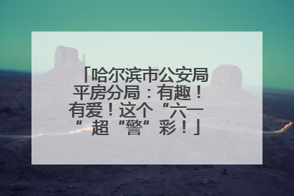 哈尔滨市公安局平房分局：有趣！有爱！这个“六一”超“警”彩！