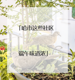 哈市这些社区端午味道浓