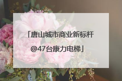 唐山城市商业新标杆@47台康力电梯