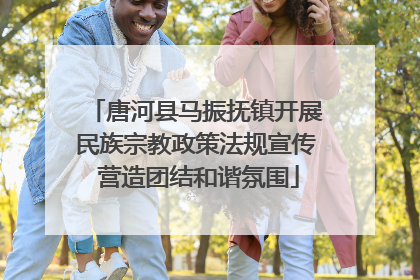 唐河县马振抚镇开展民族宗教政策法规宣传 营造团结和谐氛围