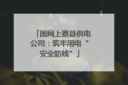 国网上蔡县供电公司：筑牢用电“安全防线”