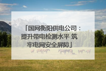 国网衡阳供电公司：提升带电检测水平 筑牢电网安全屏障