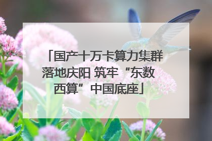 国产十万卡算力集群落地庆阳 筑牢“东数西算”中国底座