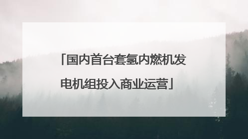 国内首台套氢内燃机发电机组投入商业运营