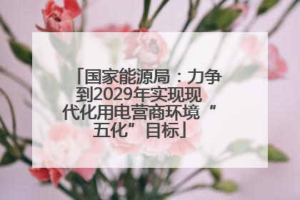 国家能源局：力争到2029年实现现代化用电营商环境“五化”目标