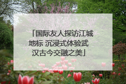 国际友人探访江城地标 沉浸式体验武汉古今交融之美