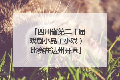 四川省第二十届戏剧小品（小戏）比赛在达州开幕