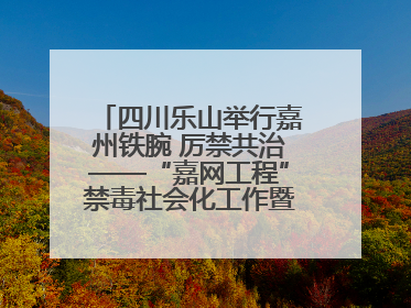 四川乐山举行嘉州铁腕 厉禁共治——“嘉网工程”禁毒社会化工作暨毒品集中销毁启动仪式