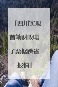四川实现首笔财政电子票据跨省报销