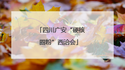四川广安“硬核圈粉”西洽会
