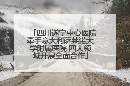 四川遂宁中心医院牵手意大利萨莱诺大学附属医院 四大领域开展全面合作