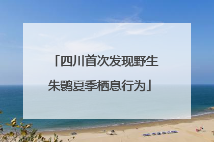 四川首次发现野生朱鹮夏季栖息行为