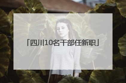 四川10名干部任新职