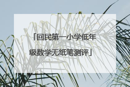 回民第一小学低年级数学无纸笔测评
