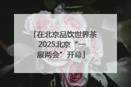 在北京品饮世界茶 2025北京“一展两会”开幕