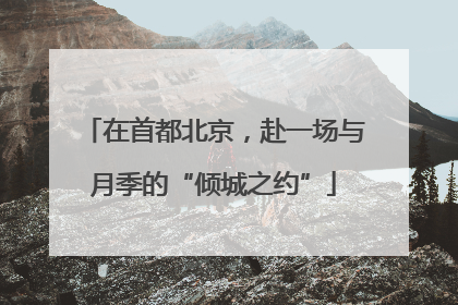 在首都北京，赴一场与月季的“倾城之约”