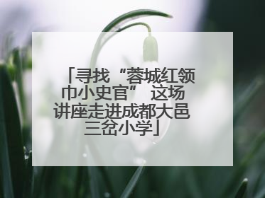 寻找“蓉城红领巾小史官” 这场讲座走进成都大邑三岔小学
