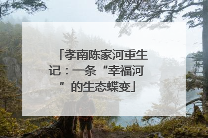 孝南陈家河重生记：一条“幸福河”的生态蝶变