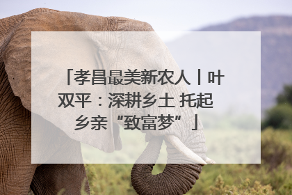 孝昌最美新农人丨叶双平：深耕乡土 托起乡亲“致富梦”
