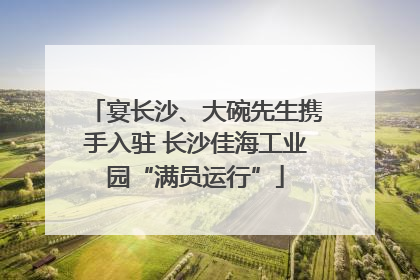 宴长沙、大碗先生携手入驻 长沙佳海工业园“满员运行”