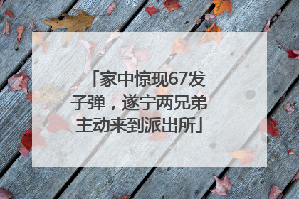 家中惊现67发子弹，遂宁两兄弟主动来到派出所