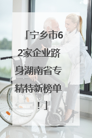 宁乡市62家企业跻身湖南省专精特新榜单！