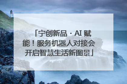 宁创新品・AI 赋能！服务机器人对接会开启智慧生活新图景