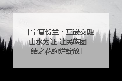 宁夏贺兰：互嵌交融 山水为证 让民族团结之花绚烂绽放