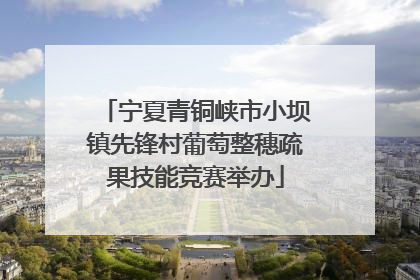 宁夏青铜峡市小坝镇先锋村葡萄整穗疏果技能竞赛举办