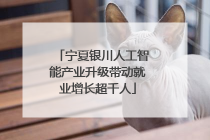 宁夏银川人工智能产业升级带动就业增长超千人