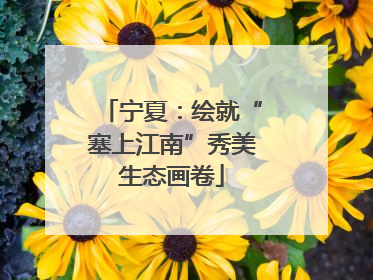 宁夏：绘就“塞上江南”秀美生态画卷