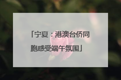 宁夏：港澳台侨同胞感受端午氛围