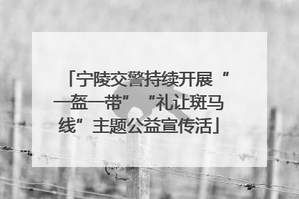 宁陵交警持续开展“一盔一带”“礼让斑马线”主题公益宣传活