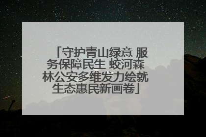 守护青山绿意 服务保障民生 蛟河森林公安多维发力绘就生态惠民新画卷