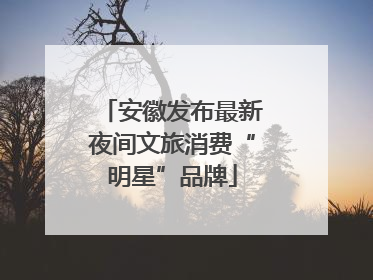 安徽发布最新夜间文旅消费“明星”品牌