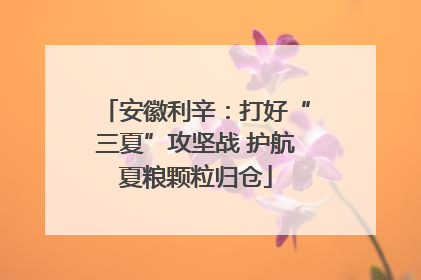 安徽利辛：打好“三夏”攻坚战 护航夏粮颗粒归仓