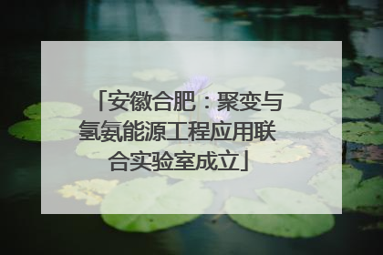 安徽合肥：聚变与氢氨能源工程应用联合实验室成立