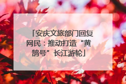 安庆文旅部门回复网民：推动打造“黄鹄号”长江游轮