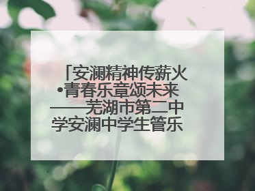 安澜精神传薪火•青春乐章颂未来——芜湖市第二中学安澜中学生管乐团第十二届公益展演圆满举行