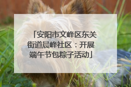 安阳市文峰区东关街道晨峰社区：开展端午节包粽子活动