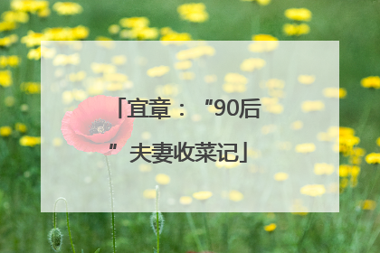 宜章：“90后”夫妻收菜记