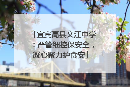 宜宾高县文江中学：严管细控保安全，凝心聚力护食安