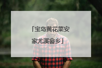 宝岛黄花菜安家尤溪畲乡